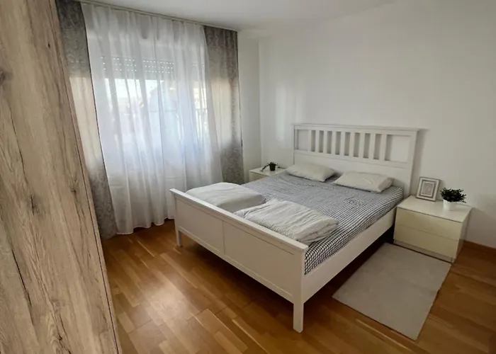 Spacious 4 * 圣路易