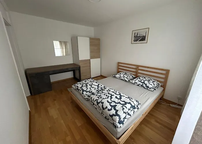 公寓 Spacious 4 圣路易