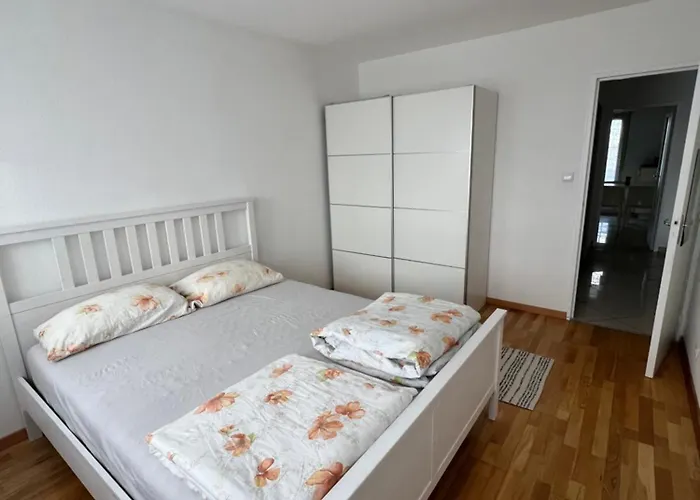 公寓 Spacious 4 圣路易